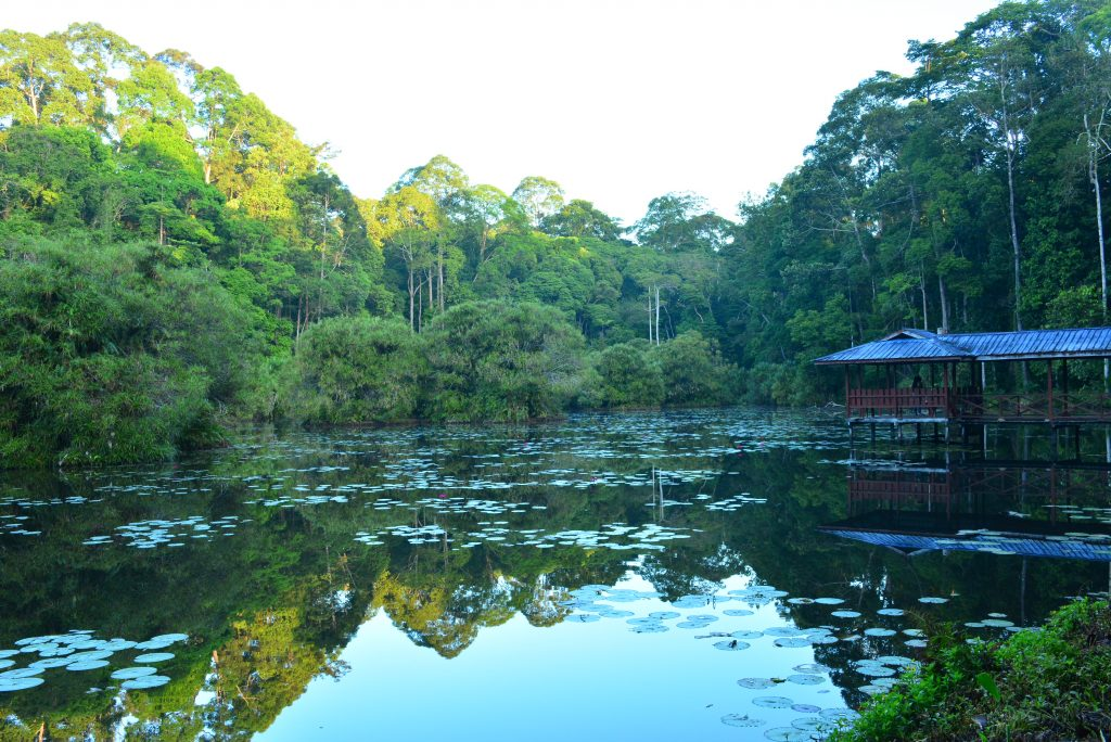 Taliwas River Conservation Area - Recommended Best Destination in Lahad Datu Malaysia - Poh Ern Si Penang