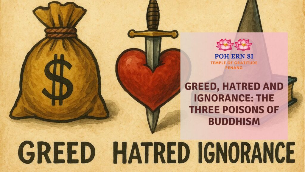 Greed, Hatred and Ignorance The Three Poisons of Buddhism - Poh Ern Si Buddhist Temple Penang Blog